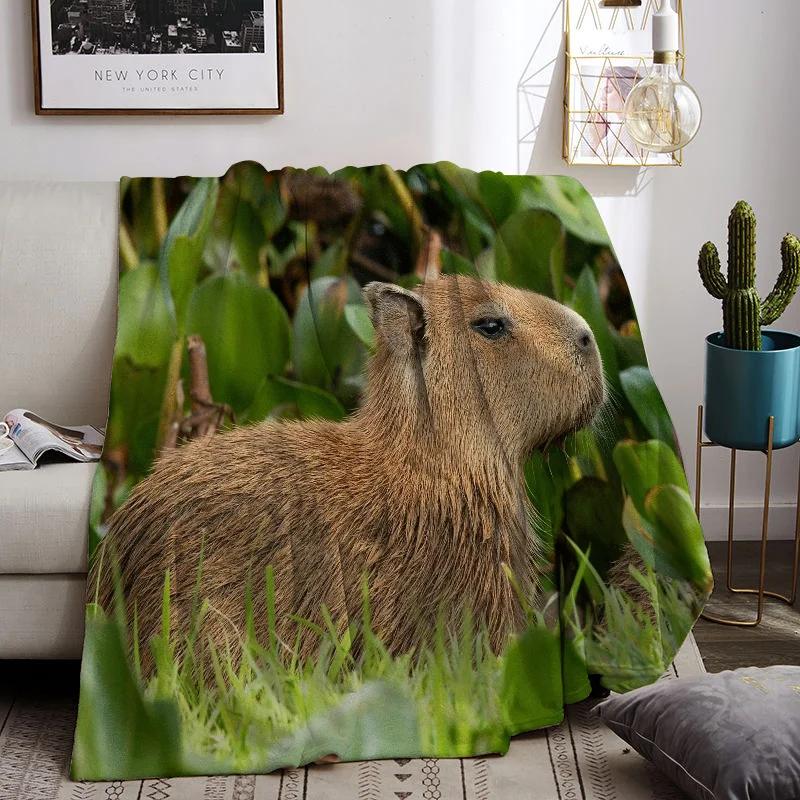 C-capybara ǫϰ ε巯   ħ뺸, ħǿ ǫ , ȣ Ȩ  